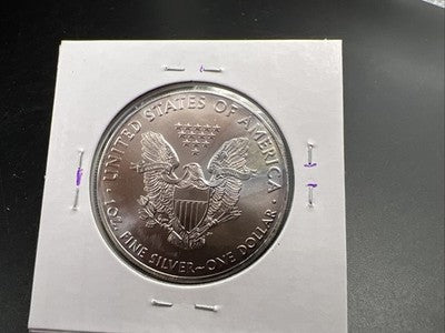 2016 1 Oz ASE American Silver Eagle Coin Gem BU UNC Neat Toning Toner