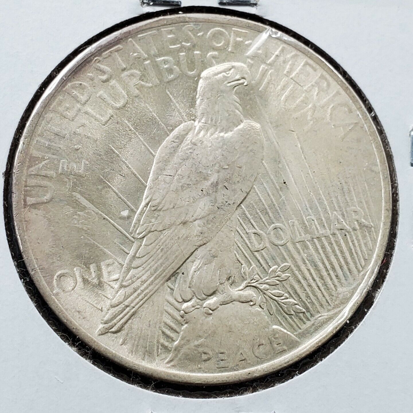 1923 P Peace Silver Eagle Dollar Coin Choice BU Uncirculated Neat Toning Toner