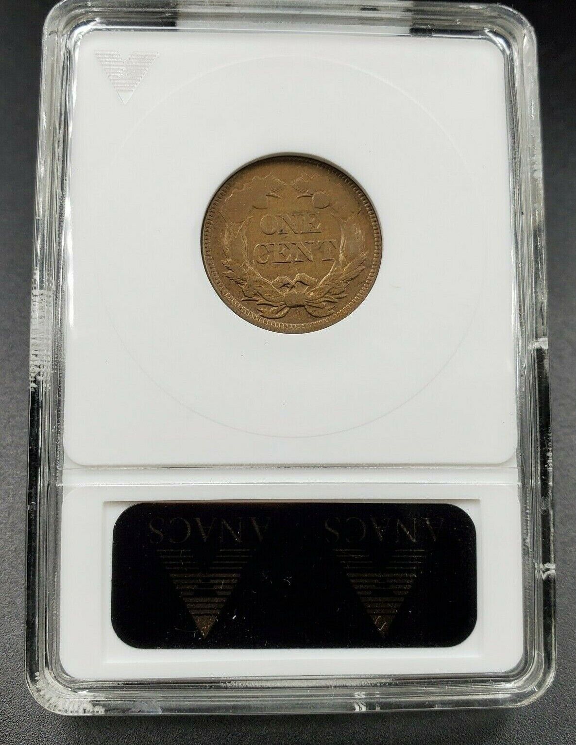 1857 P Flying Eagle Cent Penny Error ANACS AU55 Struck Through Grease Error Coin