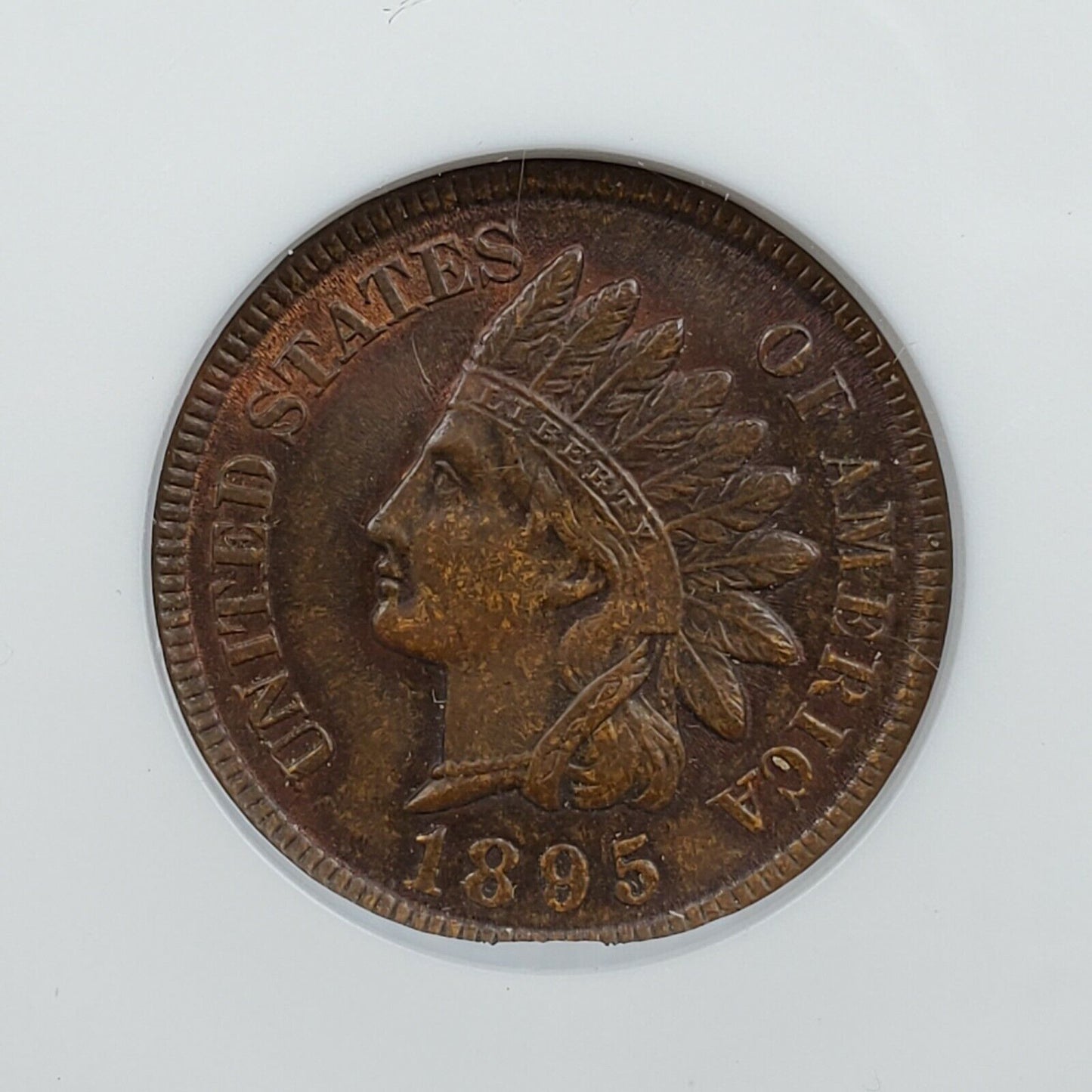 1895 Indian Cent Penny Error ANACS MS63 RB FS-011.3 FS-301 RPD BUSINESS STRIKE