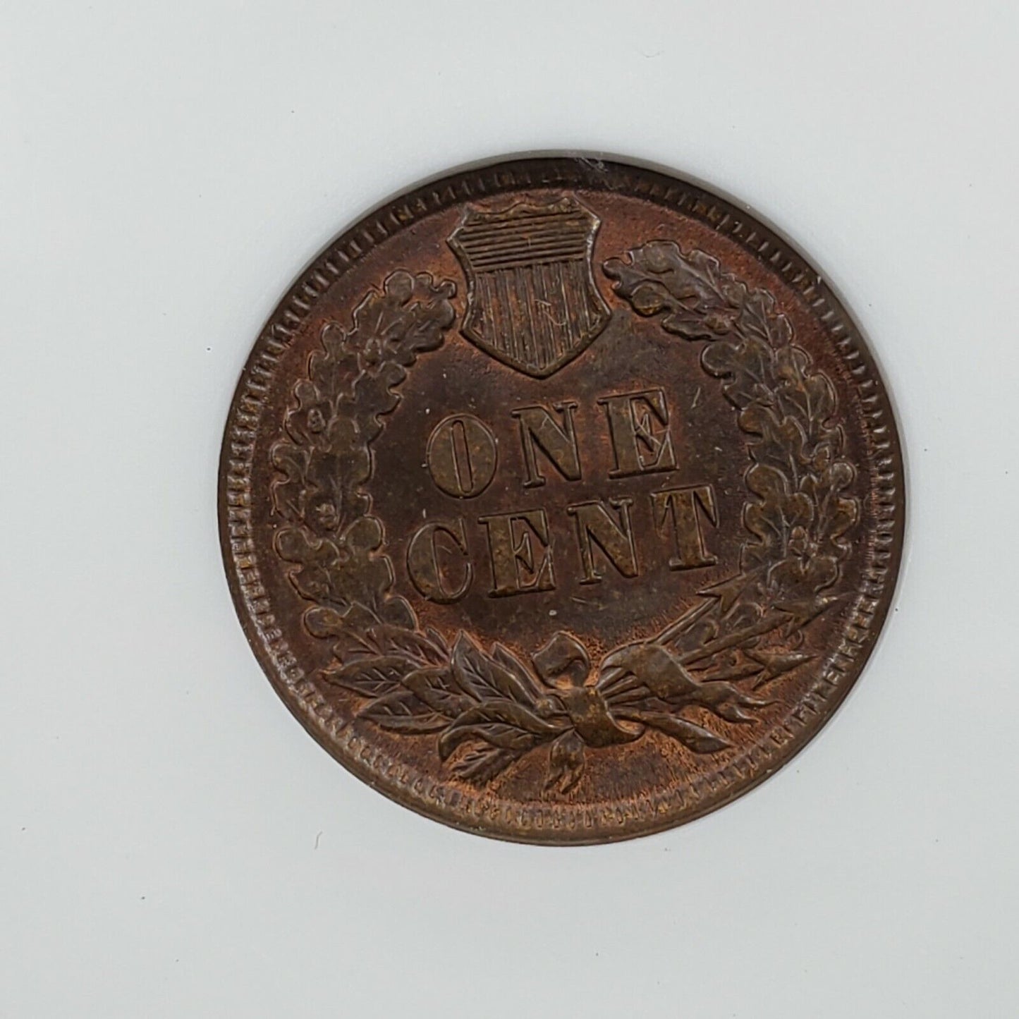 1895 Indian Cent Penny Error ANACS MS63 RB FS-011.3 FS-301 RPD BUSINESS STRIKE