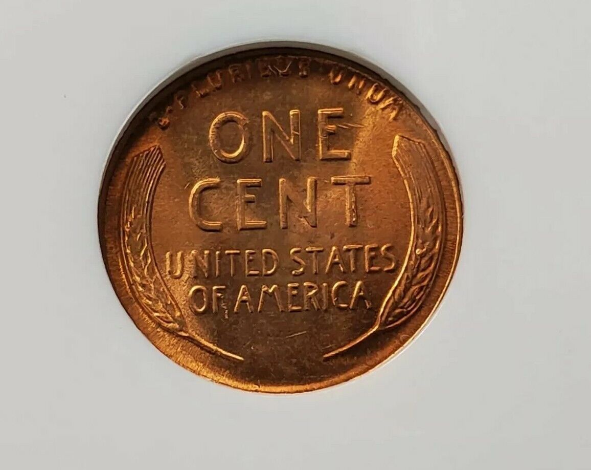 1955 P Lincoln Wheat Cent Penny Coin NGC MS66 RD RED Nice coin