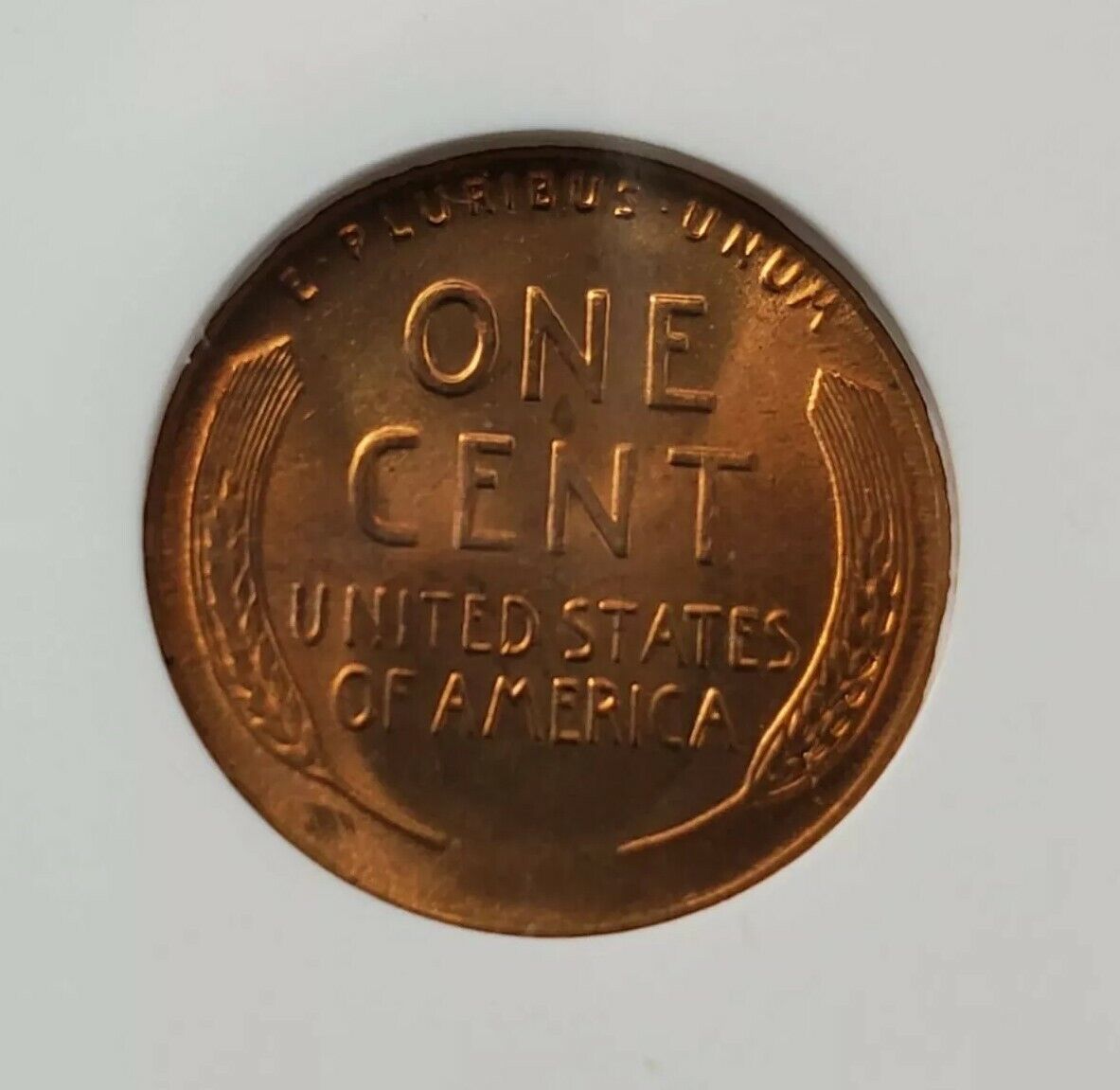 1954 S Lincoln Wheat Cent Penny Coin NGC MS66 RD RED LAST S MINT WHEAT NICE