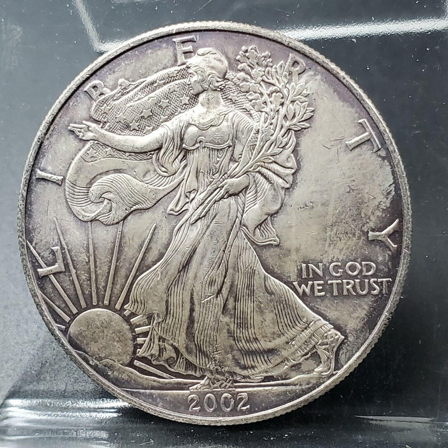 2002 1 OZ American Silver Eagle .999 Millennium Millennial Coin GEM BU PQ TONING