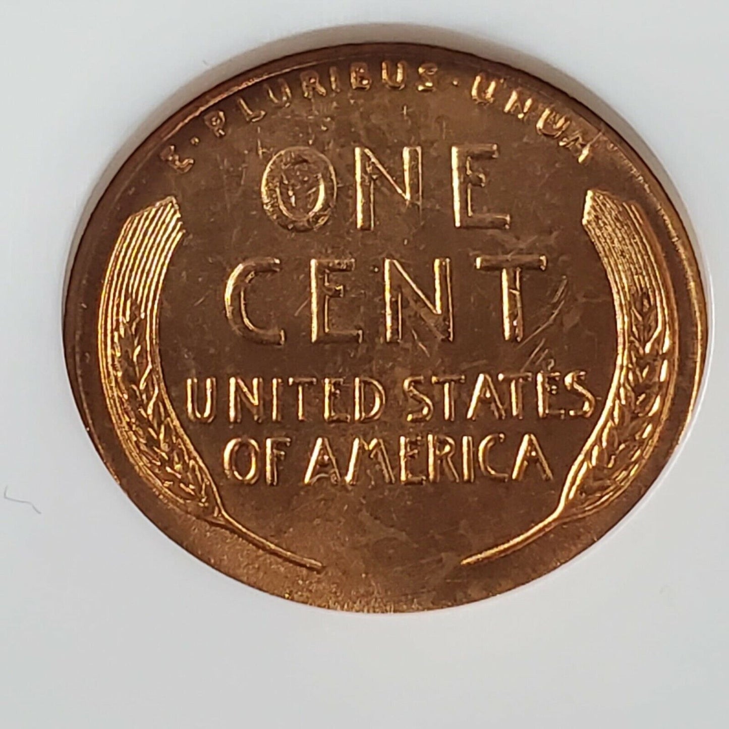 1955 P Lincoln Wheat Cent Penny Coin MS66 NGC Red RD Brown LBL Holder Gem BU