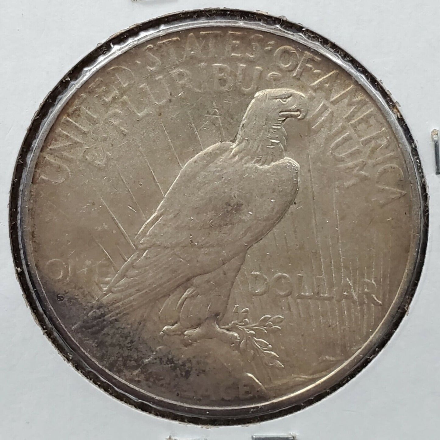 1934 D Peace 90% Silver Eagle Dollar Coin CH VF / XF Halo Toned Obverse