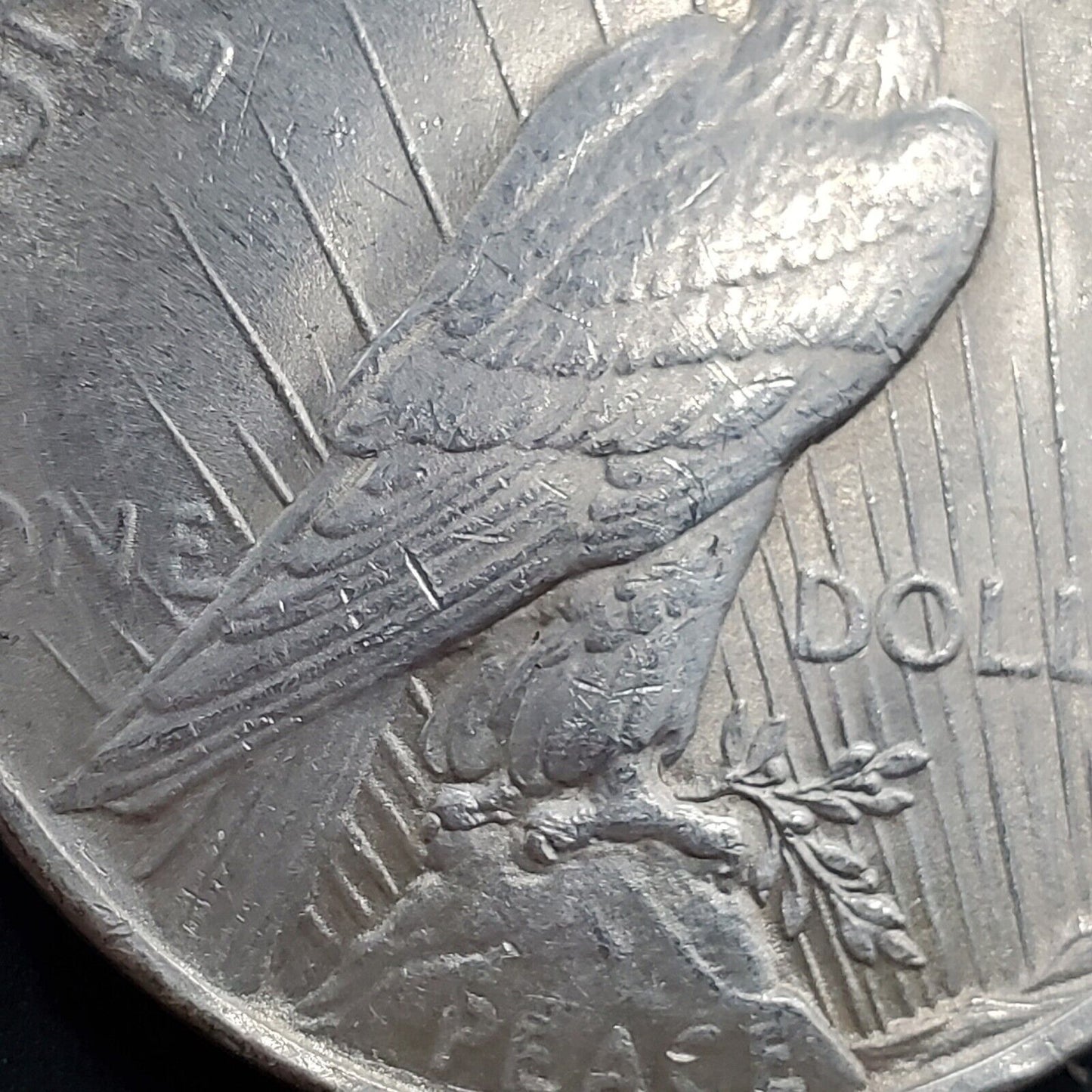 1923 P Peace 90% Silver Eagle Dollar Coin VAM 1E Broken Wing Variety CH AU