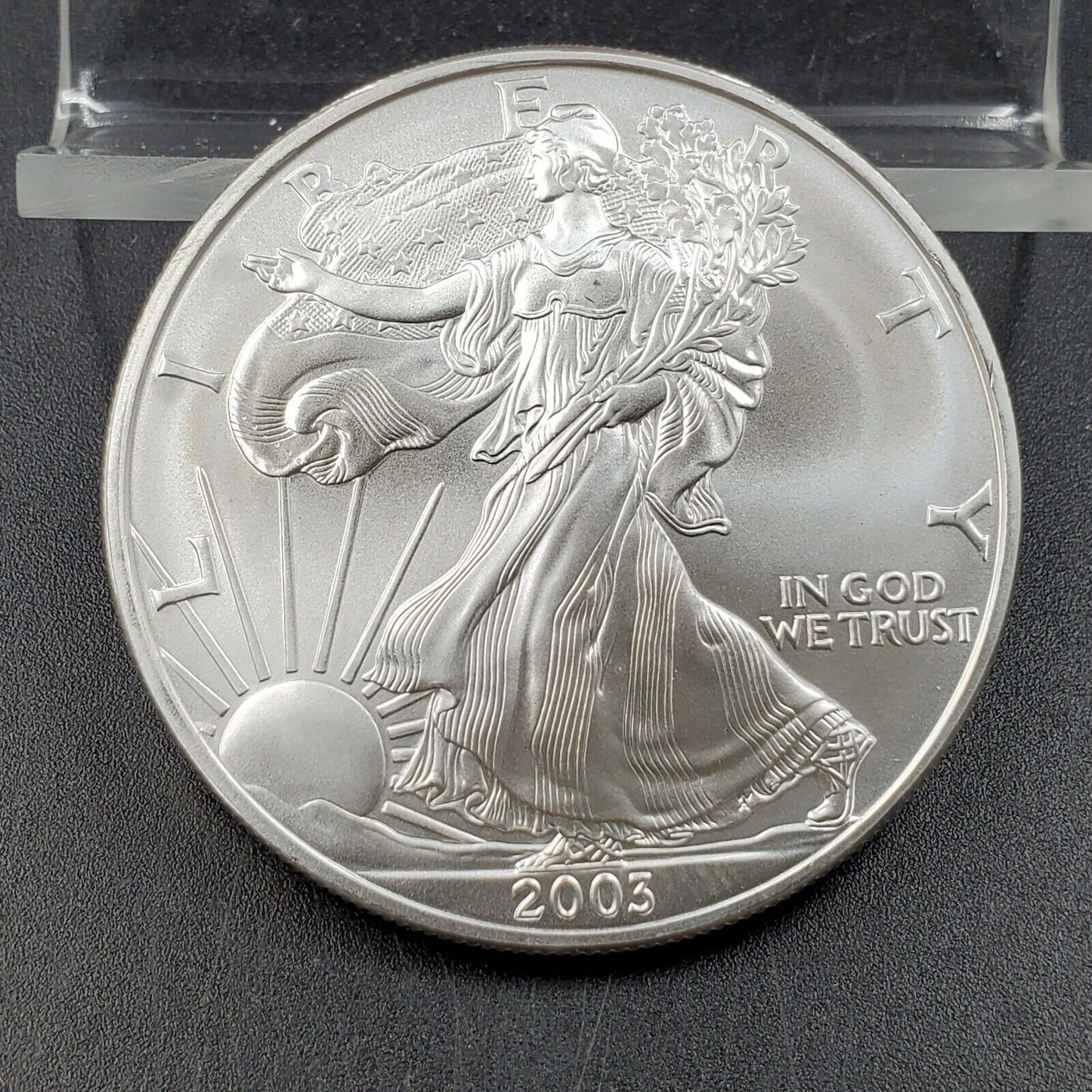 2003 1 OZ ASE AMERICAN Silver Eagle Coin Halo Toned Reverse Gem BU UNC