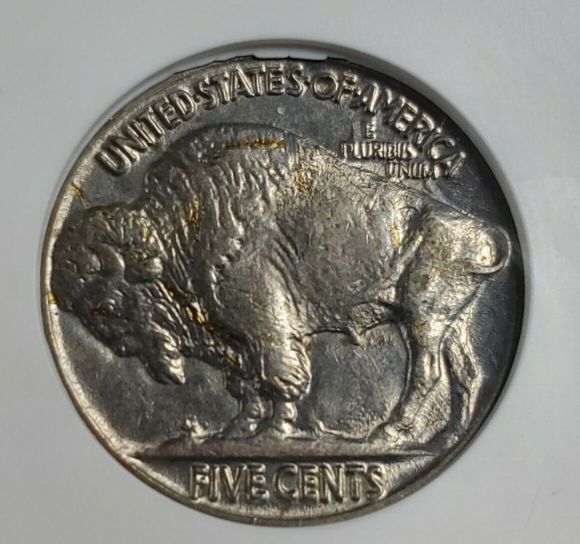 1936 P Buffalo Nickel Variety Coin ANACS UNC Details DDO FS-101 DMR-004 Double
