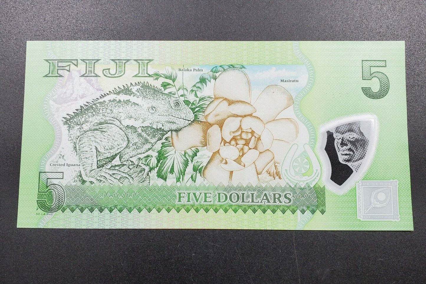 Fiji 5 Dollar 2012 2013 UNC POLYMER Bird Iguana Flower Animal Banknote Bill