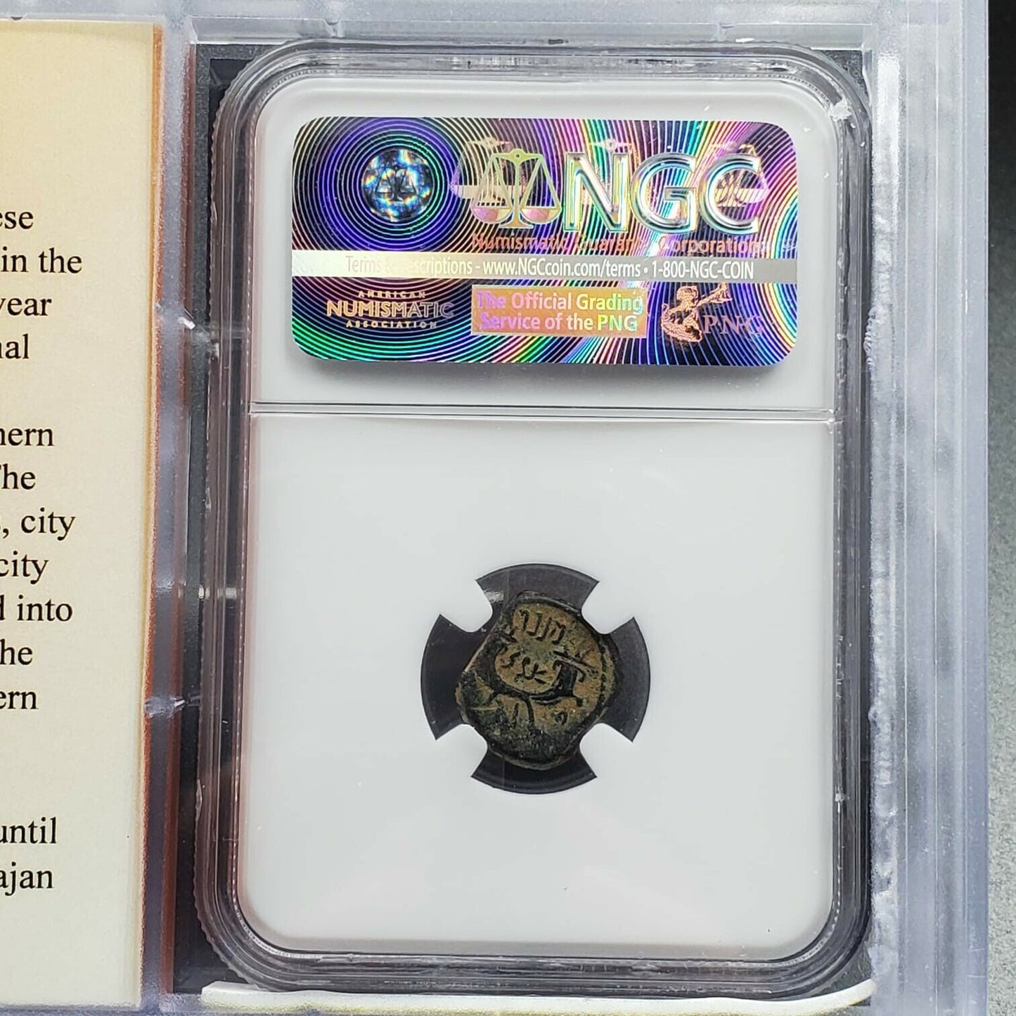 MALICHUS II & Shaqilat II 40-70 AD Nabataea NGC VF Money of the Bible Ancient