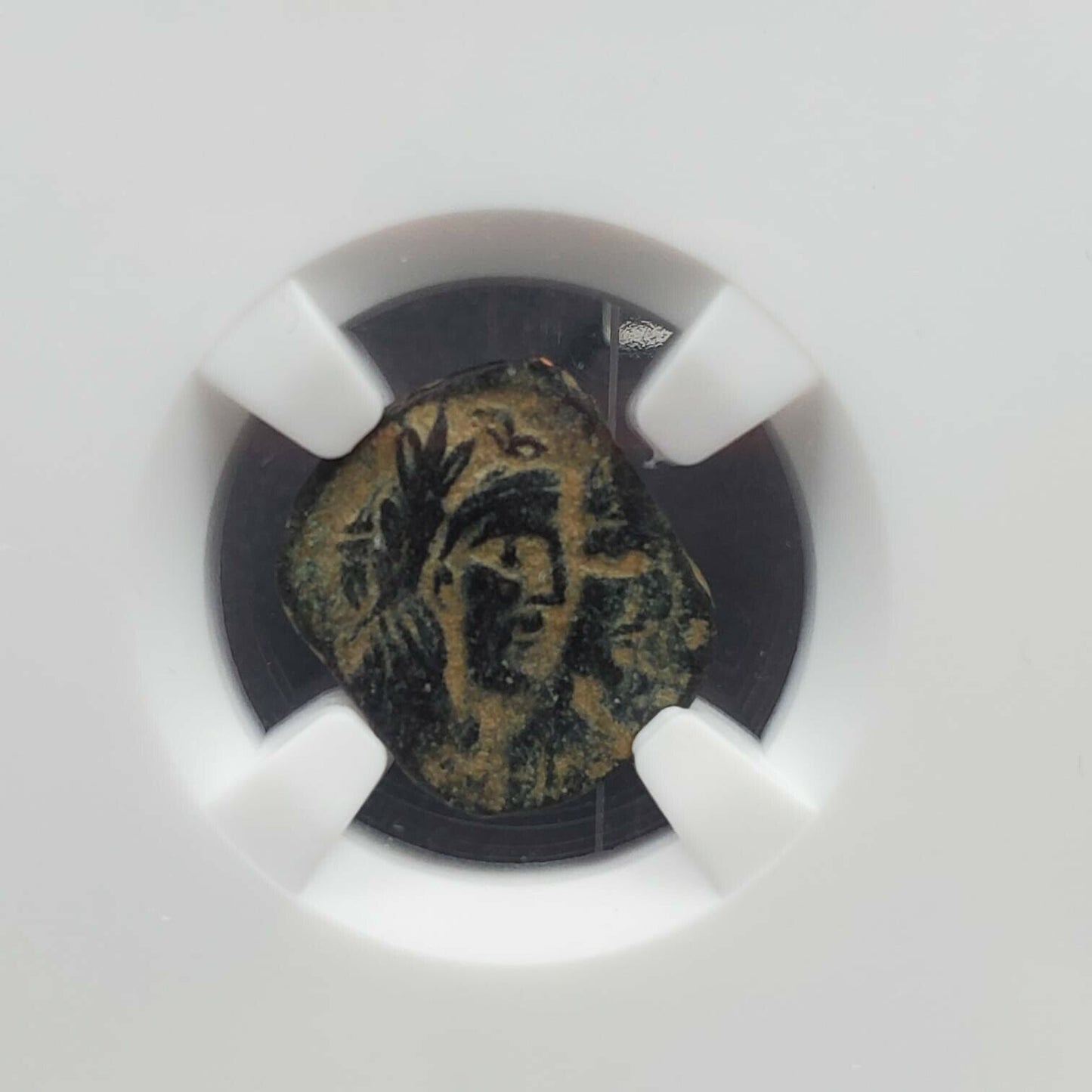 MALICHUS II & Shaqilat II 40-70 AD Nabataea NGC VF Money of the Bible Ancient