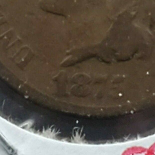 1875 Indian Head Cent Coin RPD Error Variety Base of 1 Circulated Repunched Date