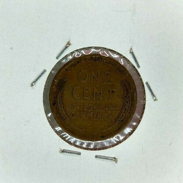 1909 P VDB Lincoln Wheat Cent Penny Coin Choice Circulated
