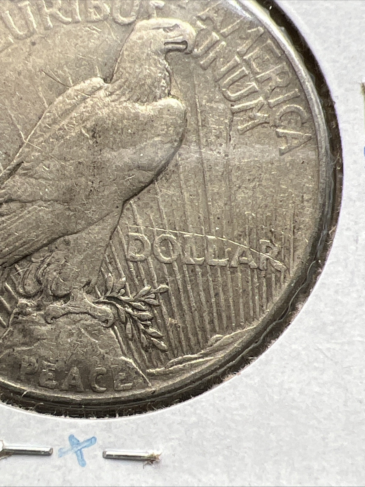 1921 P $1 Peace Silver Dollar Coin Scratched Reverse VF Details Circulated