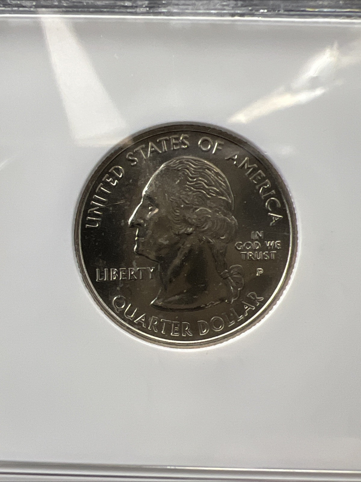 2004 P Florida NGC Sample Slab BU UNC