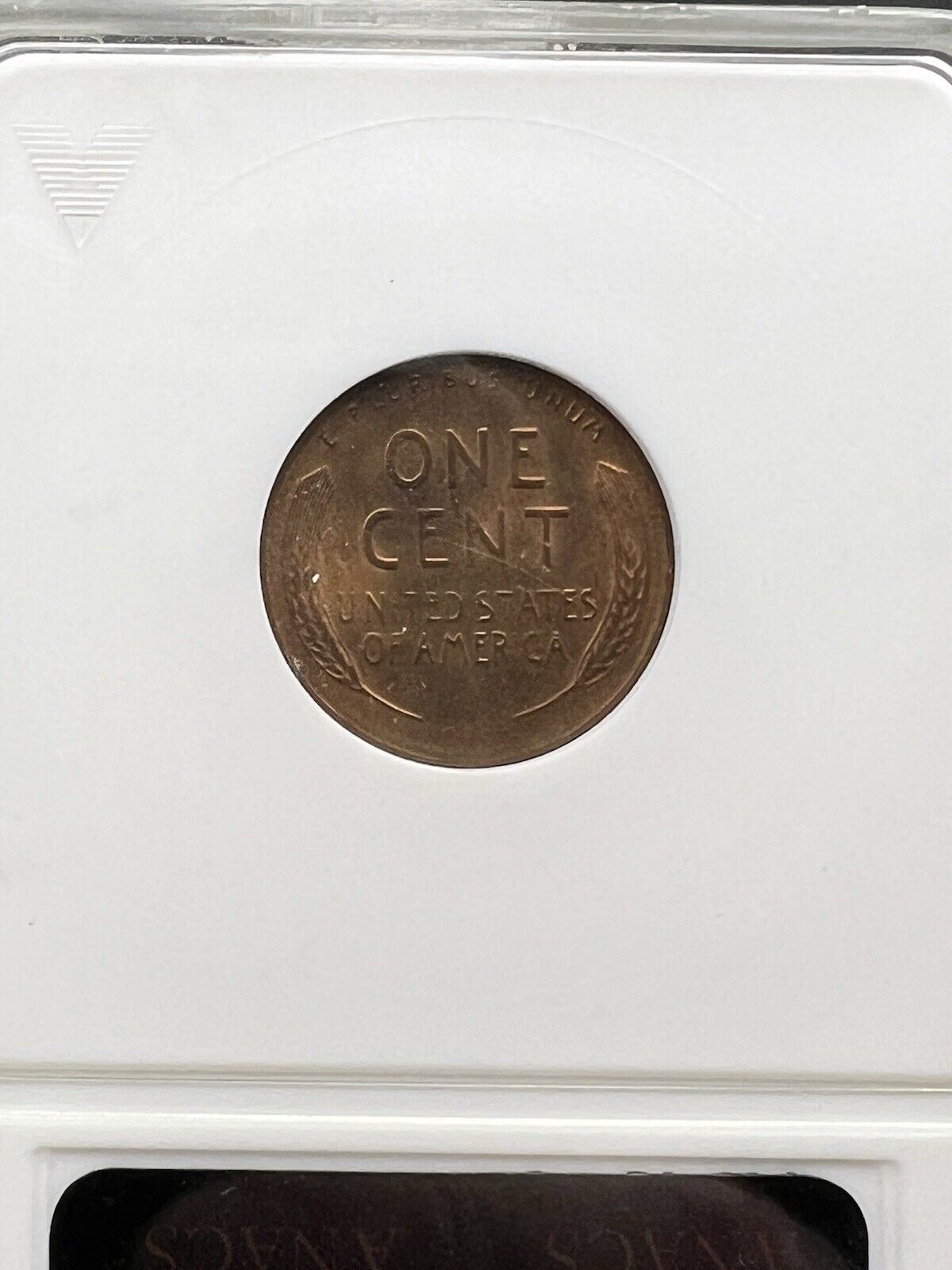 1949 S 1c Lincoln Wheat Cent Penny Coin ANACS DDO Double Die Obverse MS65 RB
