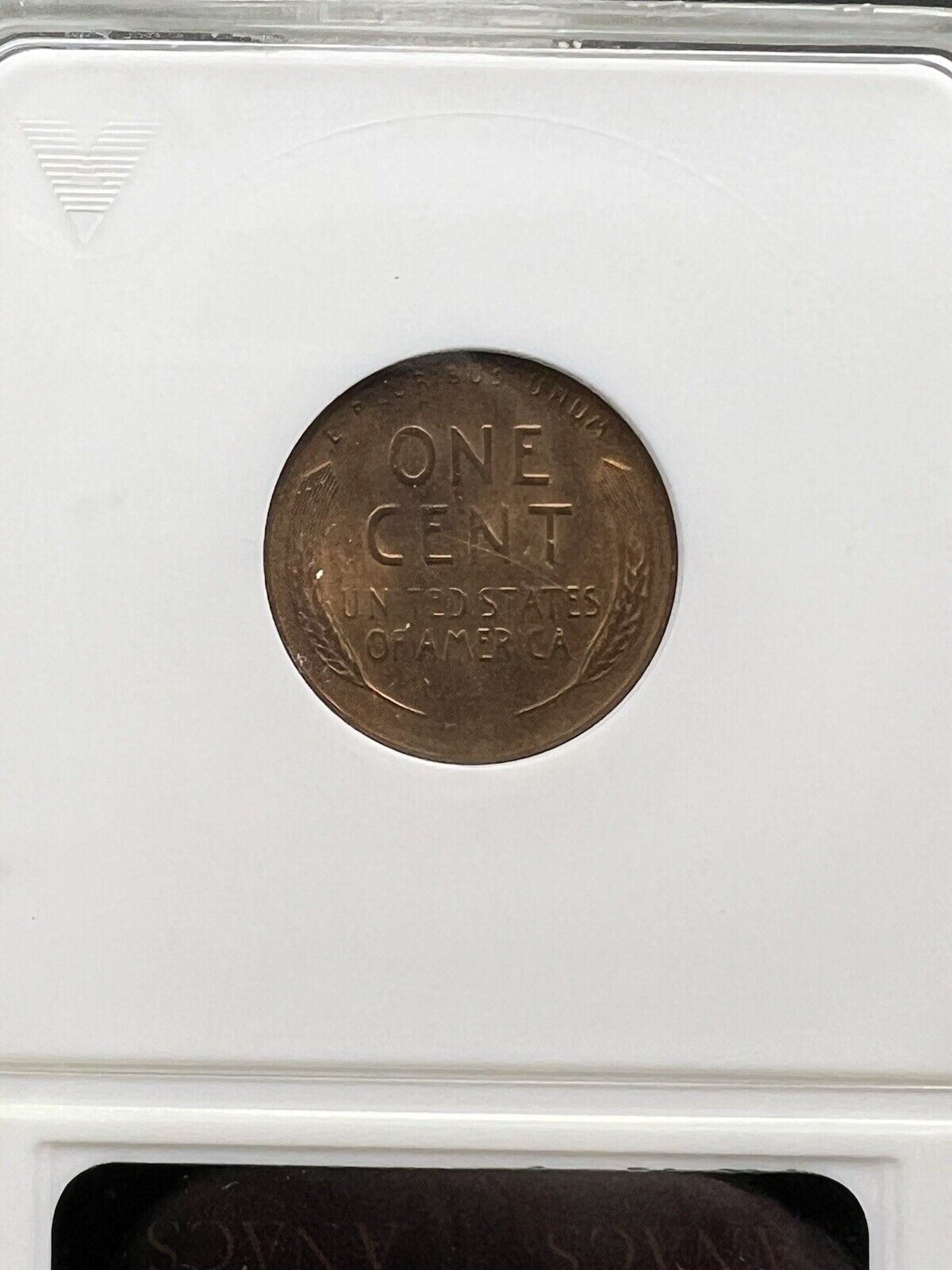 1949 S 1c Lincoln Wheat Cent Penny Coin ANACS DDO Double Die Obverse MS65 RB