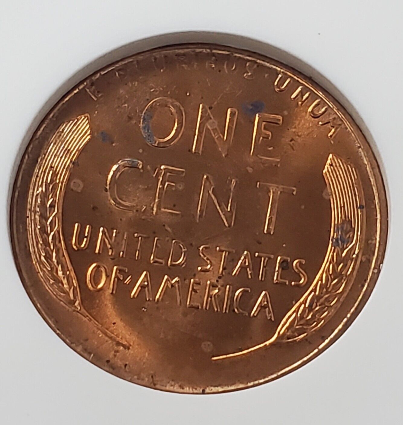 1958 D Lincoln Wheat Cent Penny Variety ANACS MS65 RED BREEN-2225
