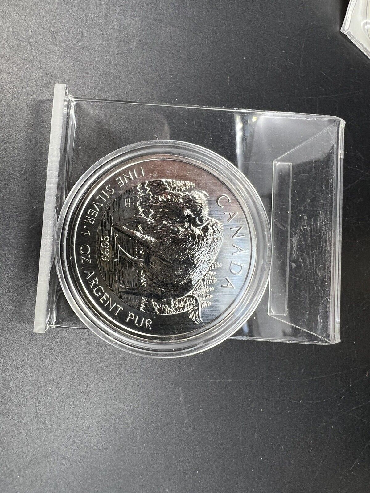 2013 Canada Silver $5 Wood Bison Wildlife Series 1oz .9999 Fine Silver RCM N Cap