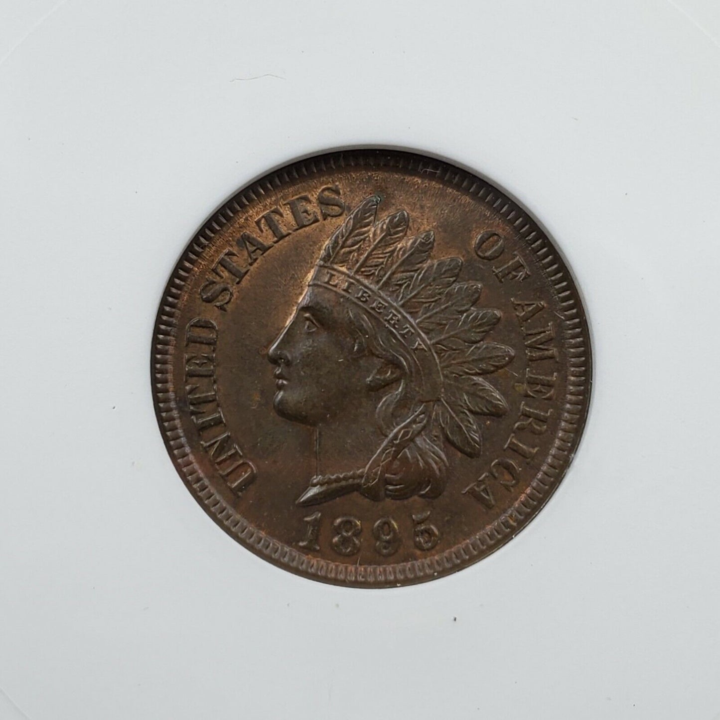 1895 Indian Cent Penny Error ANACS MS63 RB FS-011.3 FS-301 RPD Nice reverse