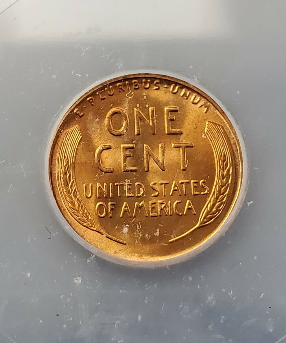 1954 S Lincoln Wheat Cent Penny Coin ICG MS67 RED RD Gem BU San Francisco 3