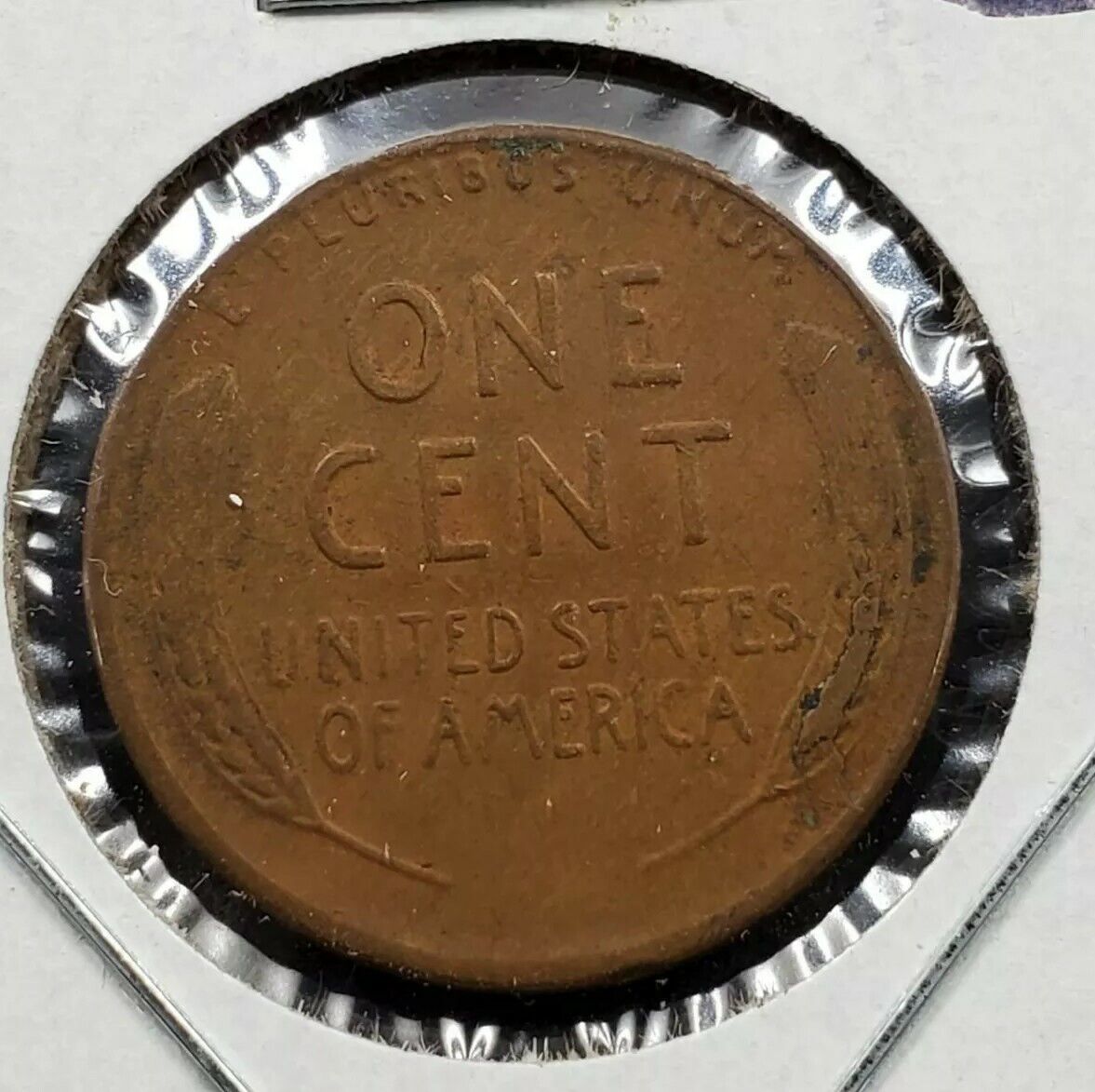 1954 S Lincoln Wheat Cent Penny Variety Die Break on Wheat Ear REVERSE