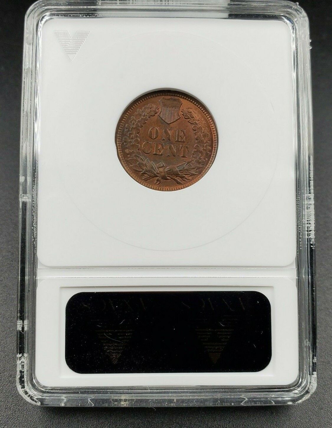 1906 Indian Cent Penny Error Variety ANACS UNC Details RPD S-1 Repunched Date