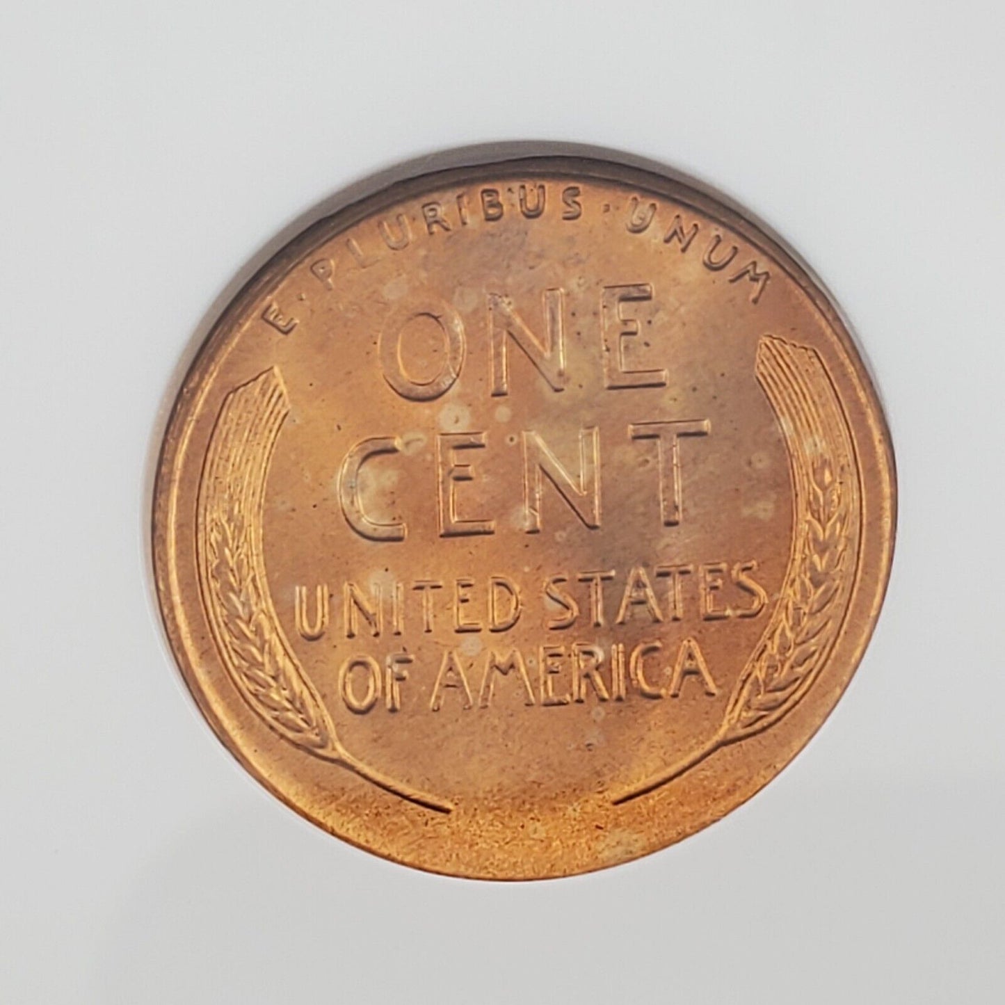 1955 S Lincoln Wheat Cent Penny Coin NGC MS66 RD RED #1