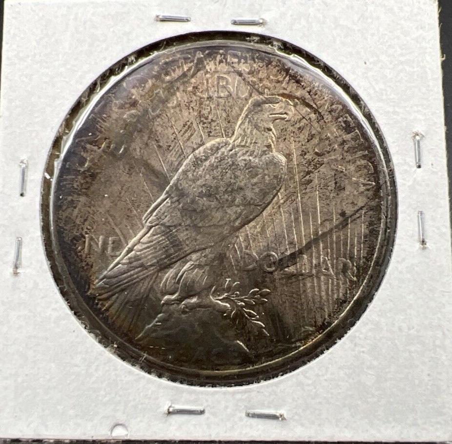1924 P $1 Peace Silver Dollar Coin Choice EF XF Blue Hair Toning OBV