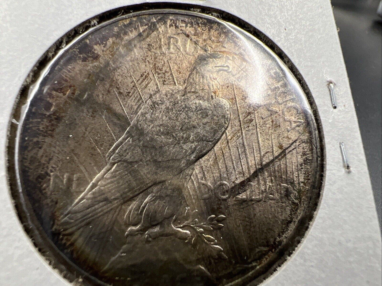 1924 P $1 Peace Silver Dollar Coin Choice EF XF Blue Hair Toning OBV
