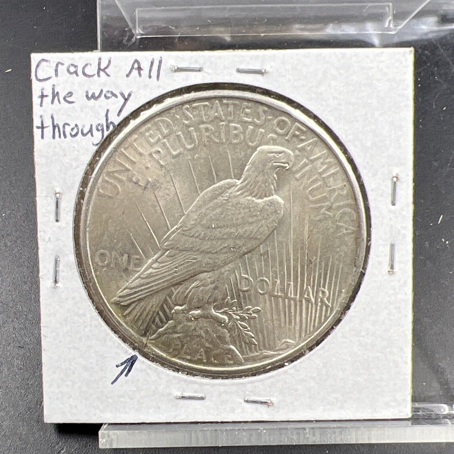 1925 P $1 Peace Silver Dollar Coin Defective Cracked Planchet Error XF