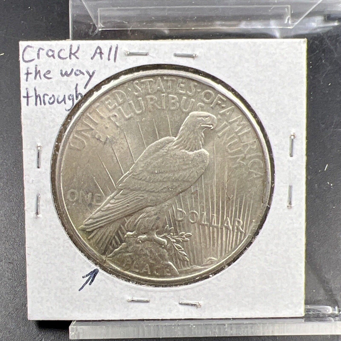 1925 P $1 Peace Silver Dollar Coin Defective Cracked Planchet Error XF