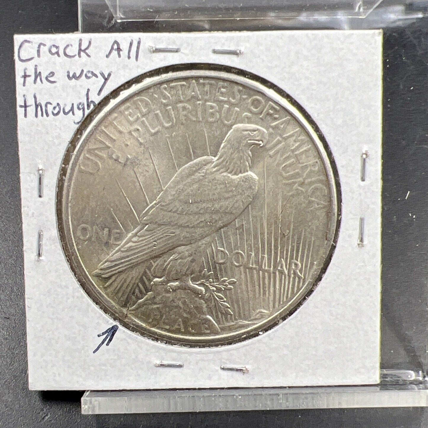 1925 P $1 Peace Silver Dollar Coin Defective Cracked Planchet Error XF