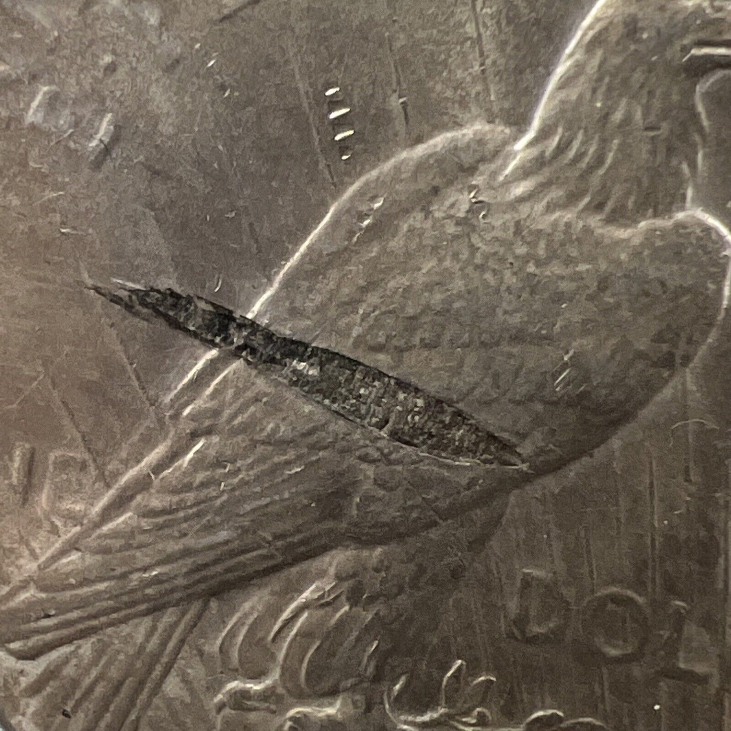 1923 $1 Peace Silver Dollar Coin Major Planchet Lamination Reverse XF / AU
