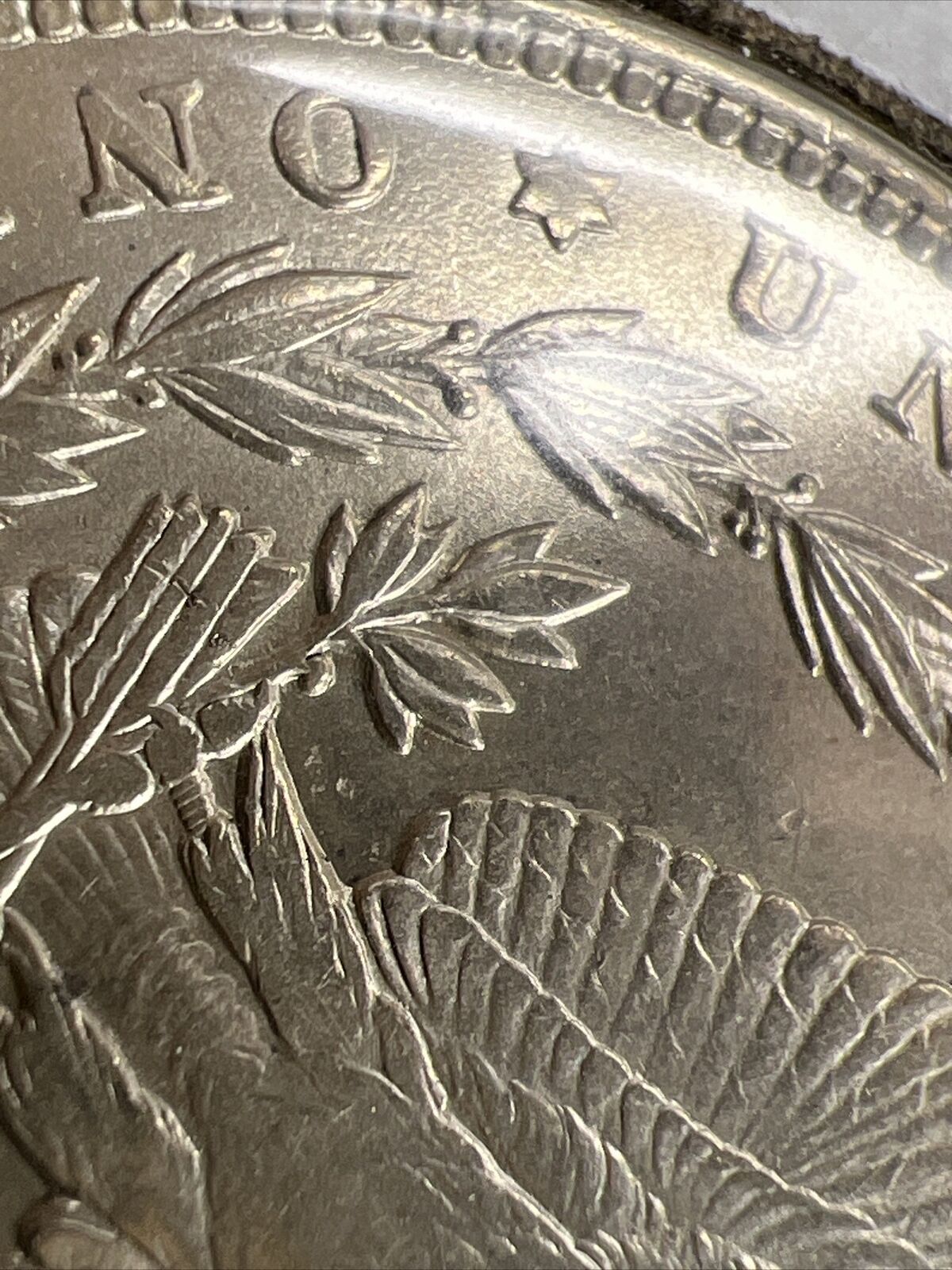 1900 P Morgan Silver Dollar Coin VAM 33 Variety DDR Reverse Leaves Choice AU