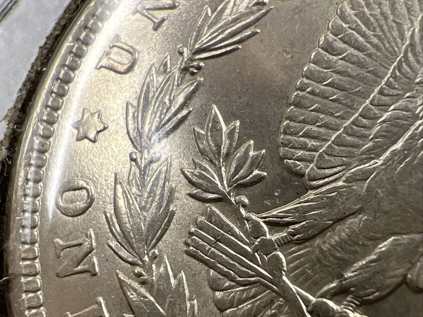 1900 P Morgan Silver Dollar Coin VAM 33 Variety DDR Reverse Leaves Choice AU