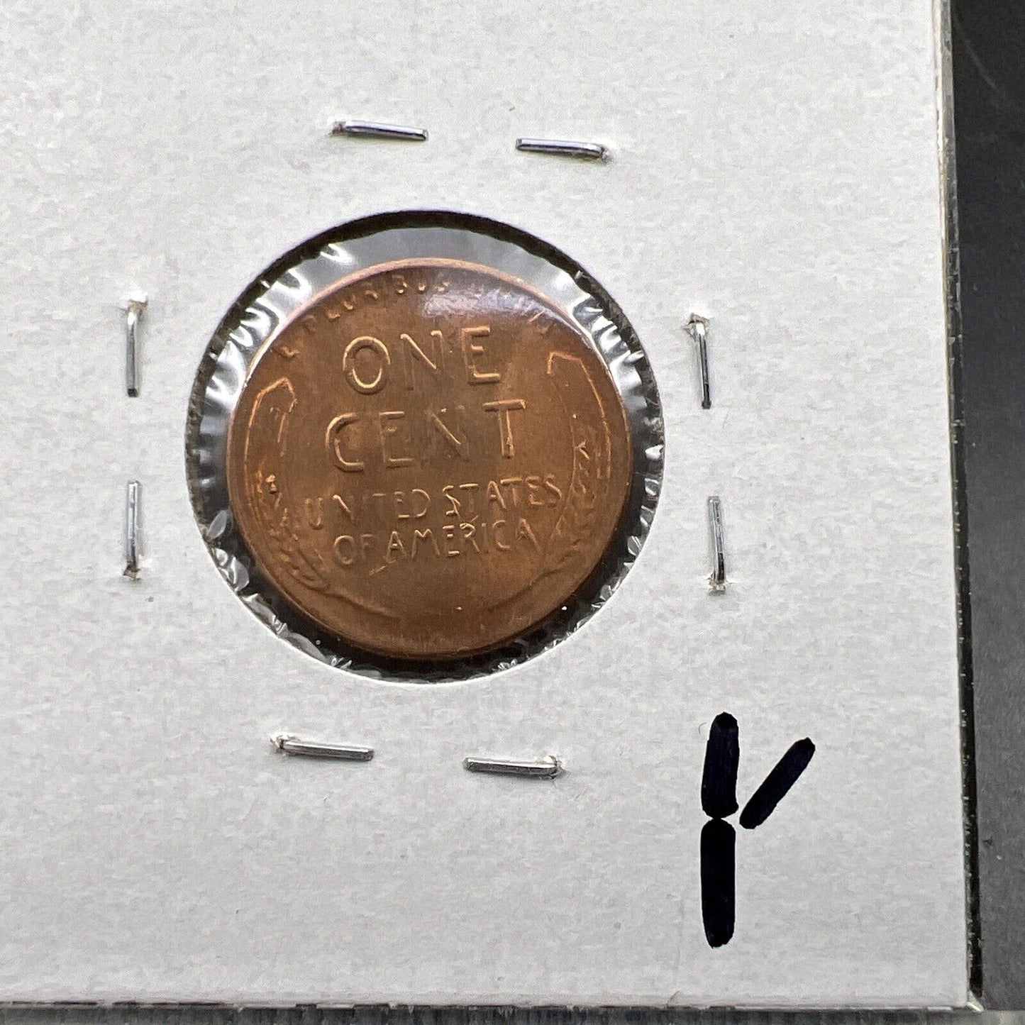 1955 P 1c Lincoln Wheat Cent Penny Coin Poor Man Strike Double Die BU RB #31024Y