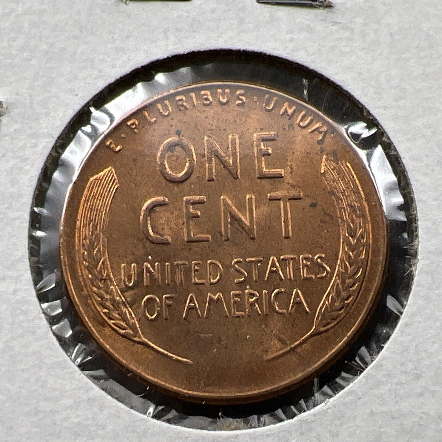 1955 P 1c Lincoln Wheat Cent Penny Coin Poor Man Strike Double Die BU RB #AV