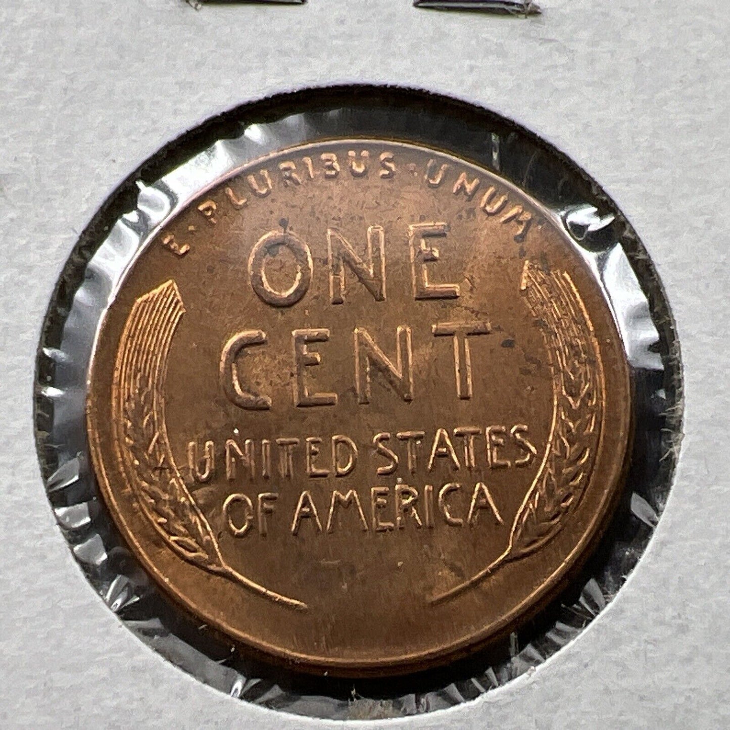 1955 P 1c Lincoln Wheat Cent Penny Coin Poor Man Strike Double Die BU RB #AV