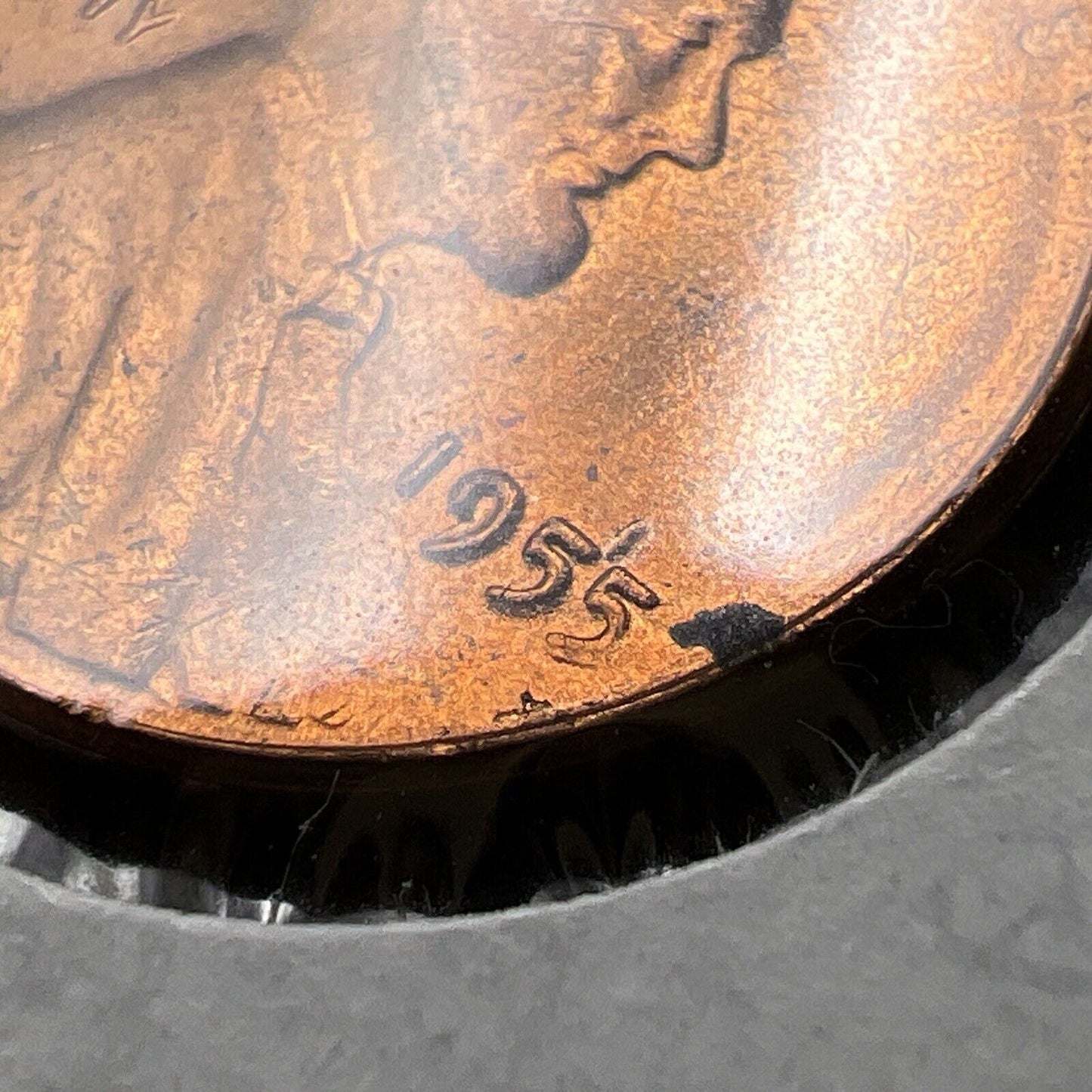 1955 P 1c Lincoln Wheat Cent Penny Coin Poor Man Strike Double Die BU RB #AV