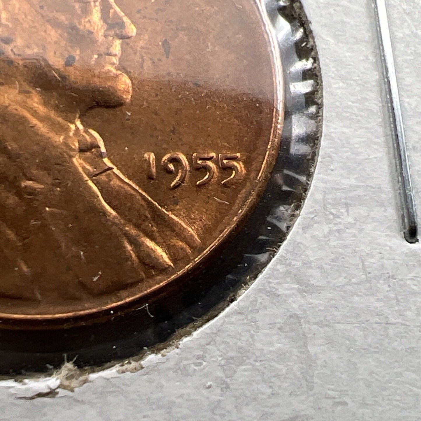 1955 P 1c Lincoln Wheat Cent Penny Coin Poor Man Strike Double Die BU RB #AB
