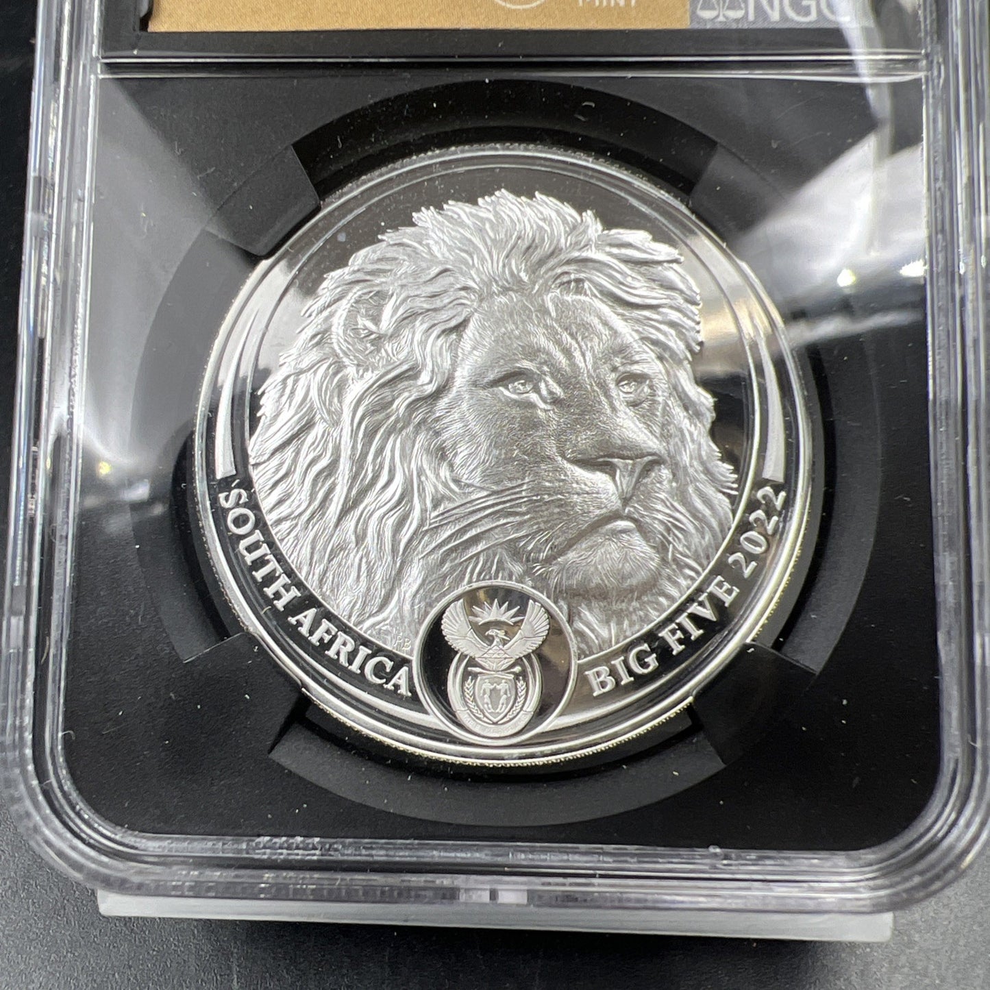 2022 South Africa Big 5 Series II Lion First Day of Issue NGC PF70 UCAM