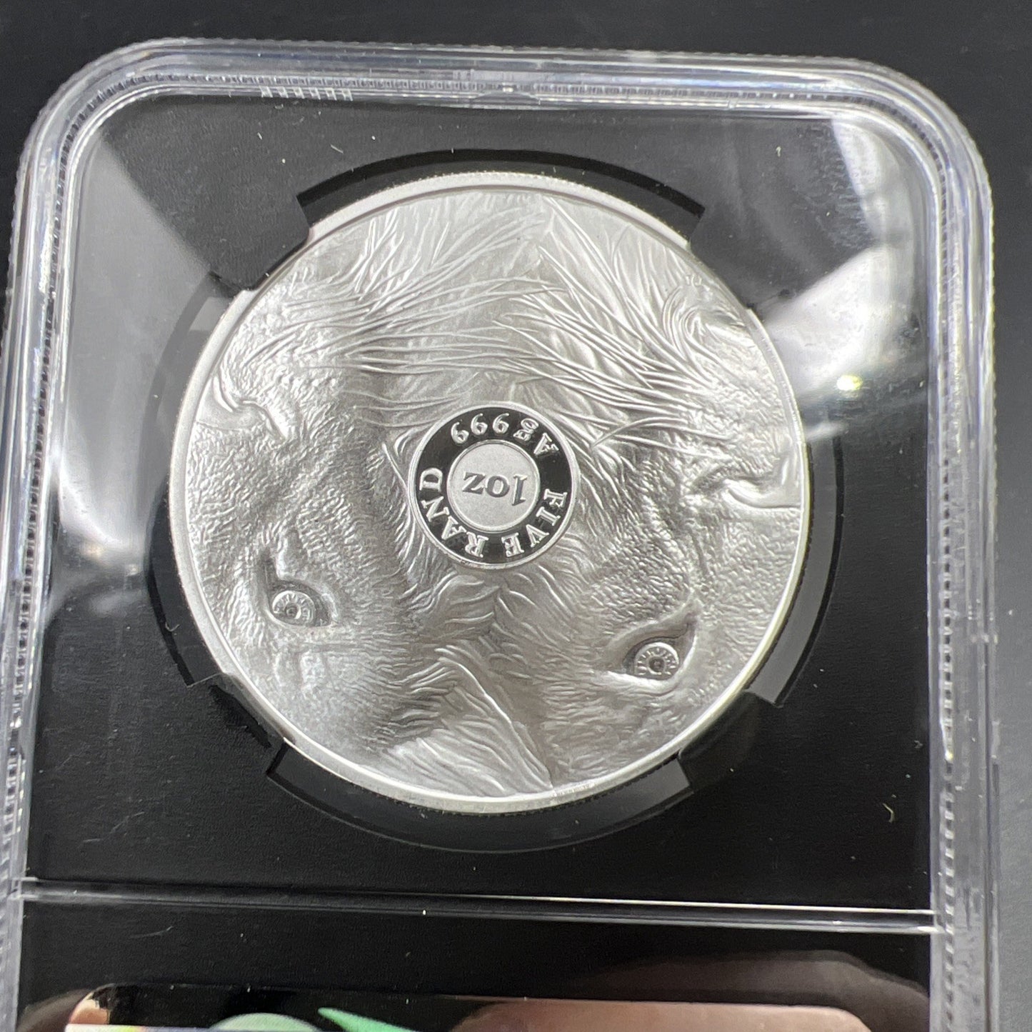 2022 South Africa Big 5 Series II Lion First Day of Issue NGC PF70 UCAM