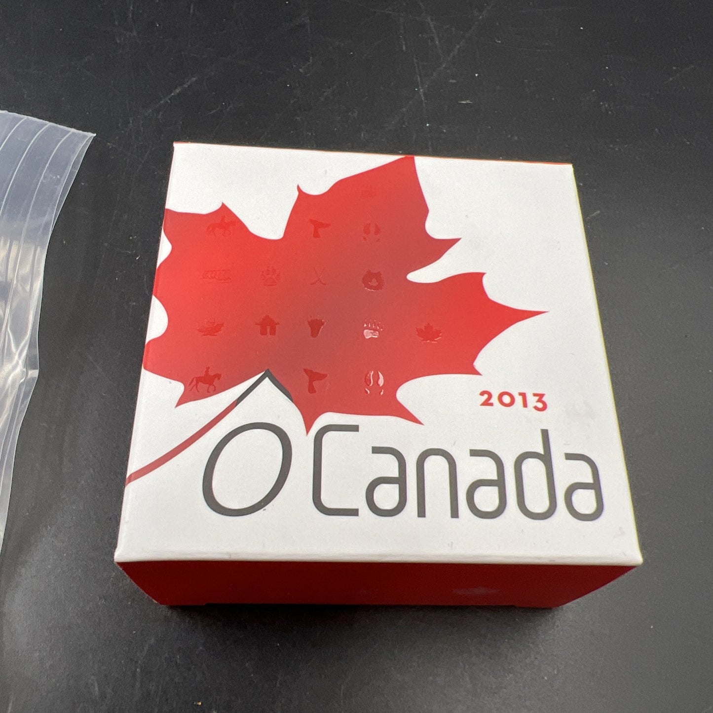 2013 Summer Fun Canada Silver $10 Ten Dollars 1/2 Oz .999 Fine Silver Coin