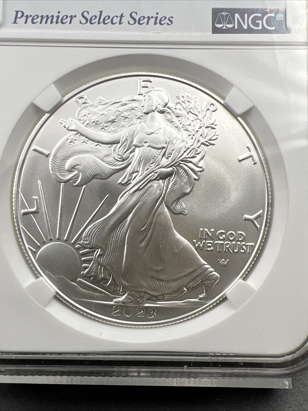 2023 1 oz ASE American Silver Eagle NGC MS70 Cracked Slab Premier Series Label