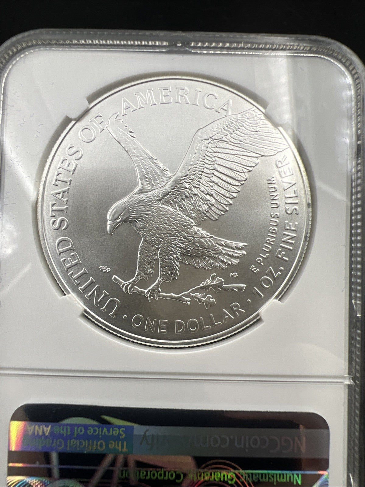 2023 1 oz ASE American Silver Eagle NGC MS70 Cracked Slab Premier Series Label