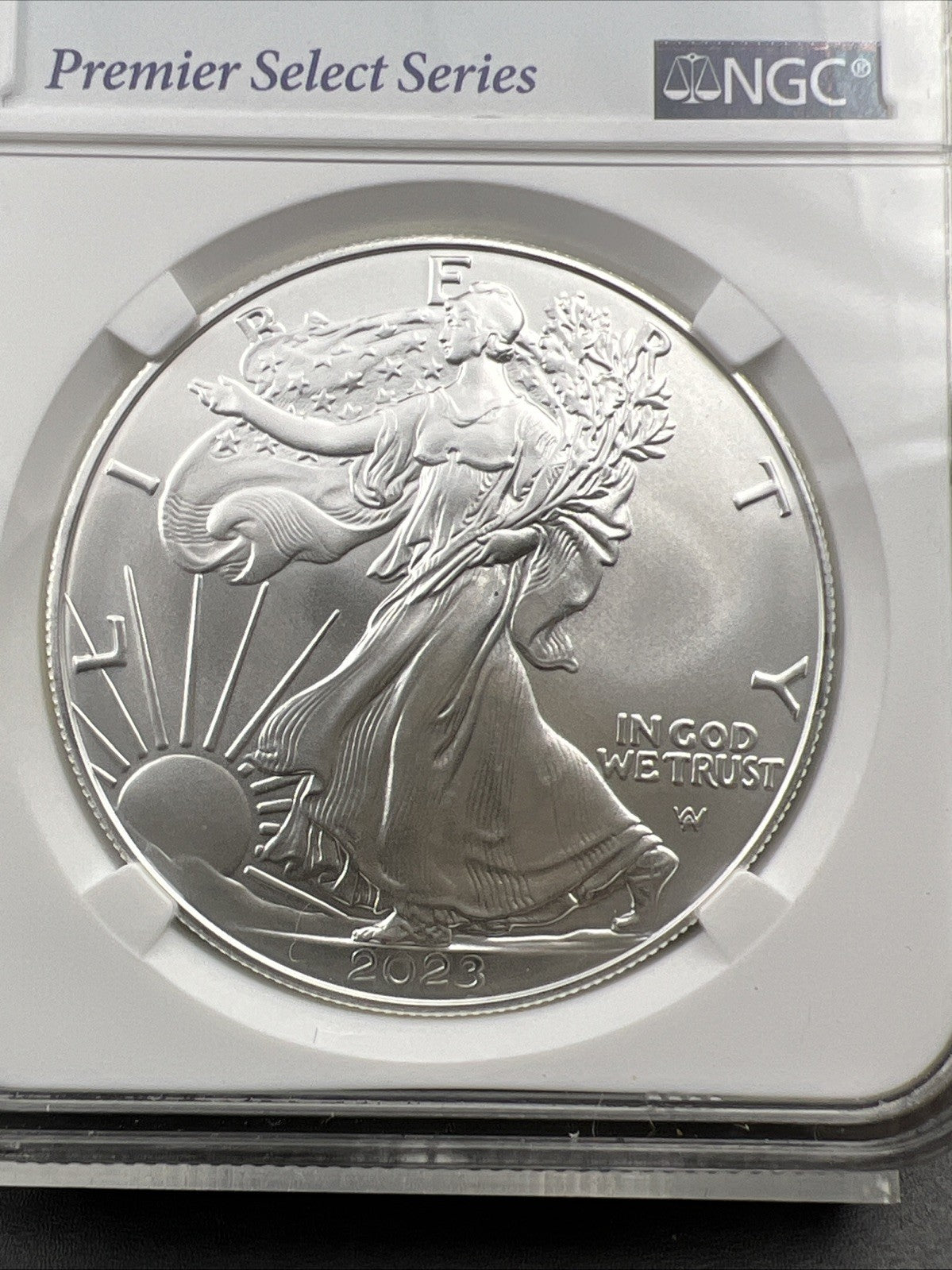 2023 1 oz ASE American Silver Eagle NGC MS70 Cracked Slab Premier Series Label