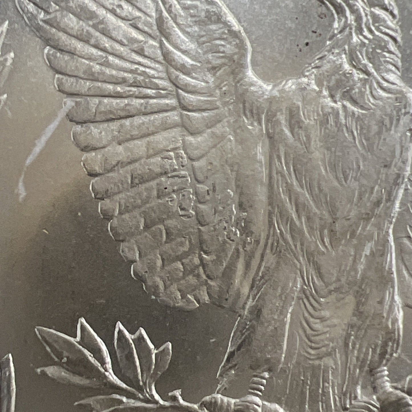 1878 S $1 Morgan Silver Dollar Coin VAM 113 Acid Treated Wings NGC MS62 BU UNC