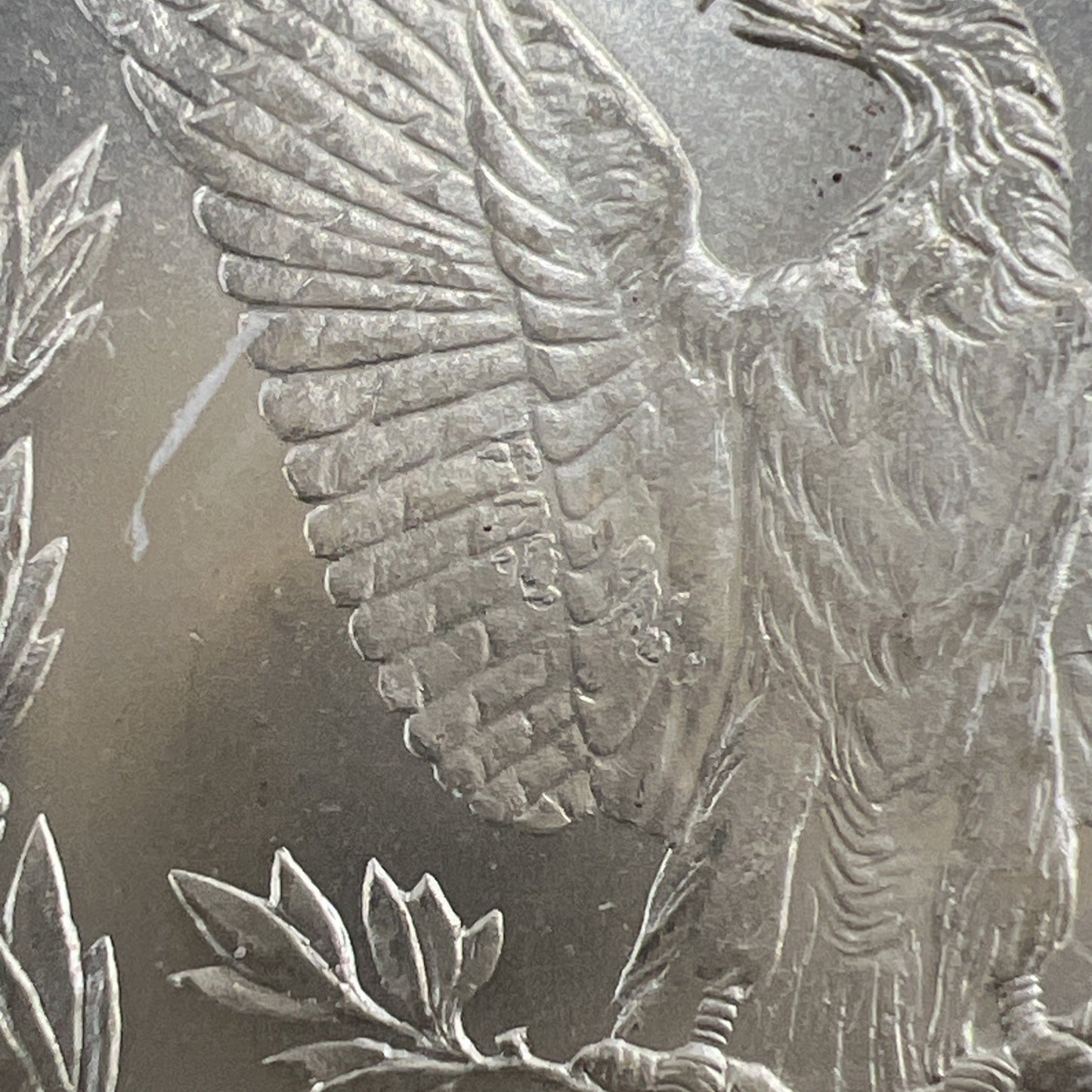 1878 S $1 Morgan Silver Dollar Coin VAM 113 Acid Treated Wings NGC MS62 BU UNC
